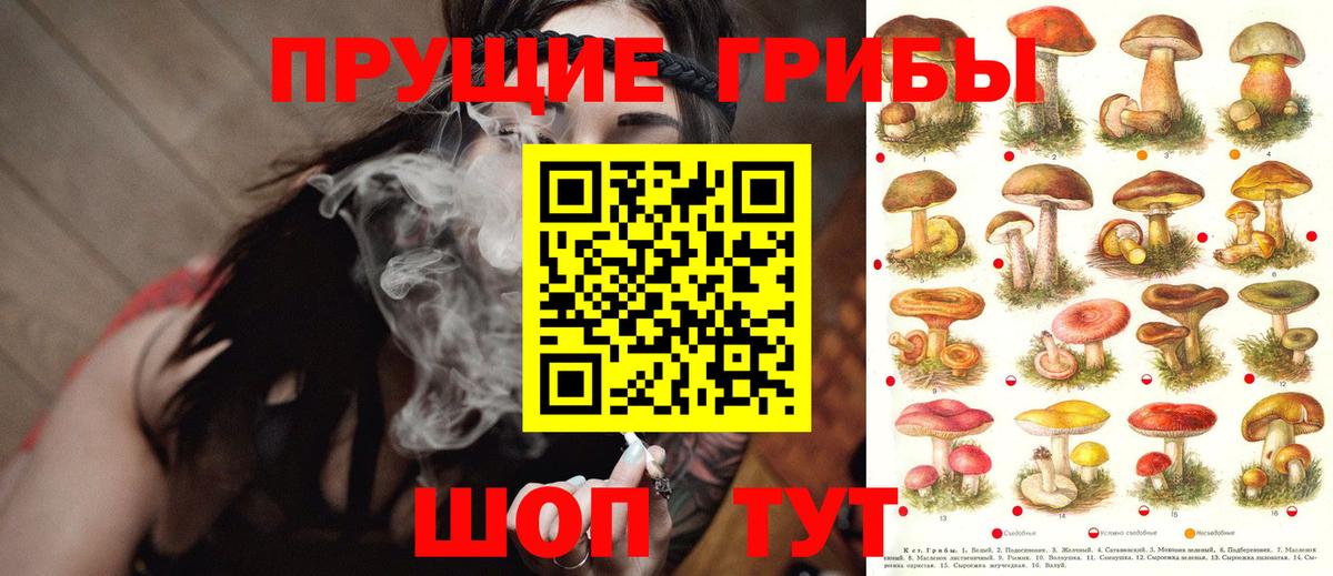 Псилоцибиновые грибы Magic Shrooms  Вход с VPN  Ленинск-Кузнецкий 